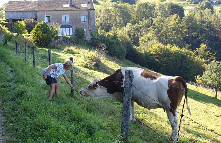 Natuurhuisje in Le Val d&apos;Ajol