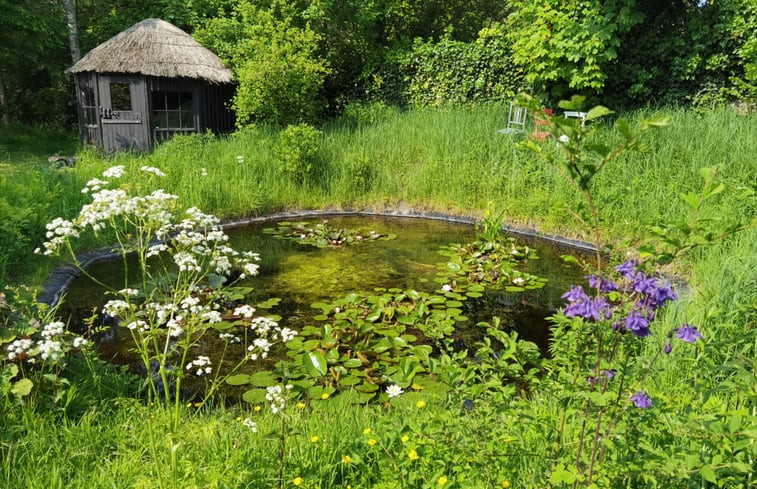 Natuurhuisje in Goedereede