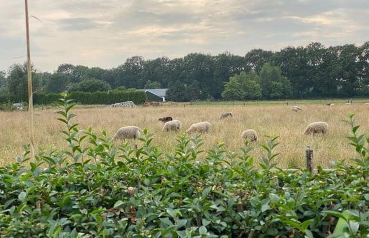 Natuurhuisje in Deventer