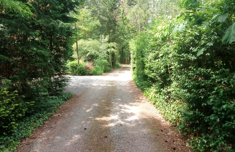 Natuurhuisje in Winterswijk