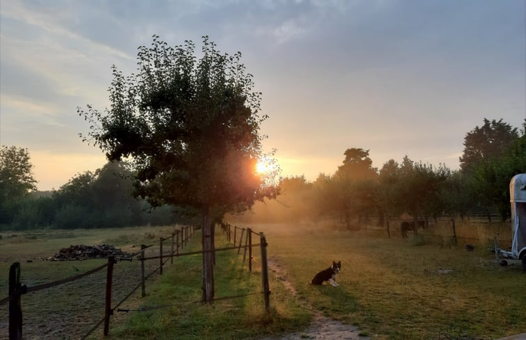 Natuurhuisje in Oudelande