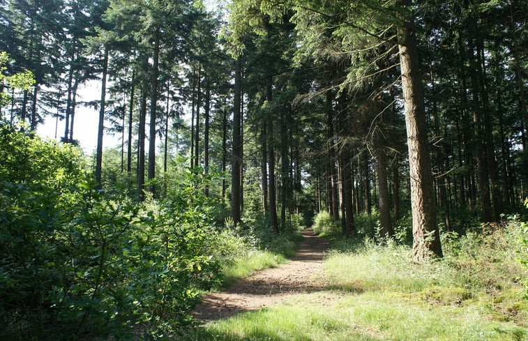 Natuurhuisje in Ermelo