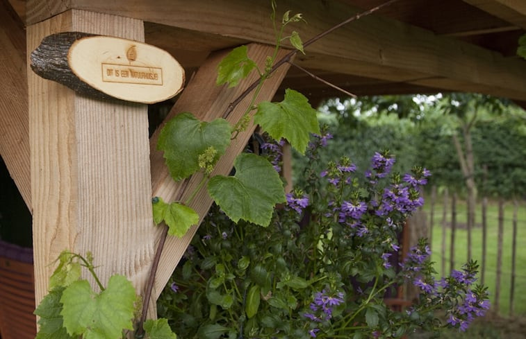 Natuurhuisje in Balkbrug (Oud Avereest)