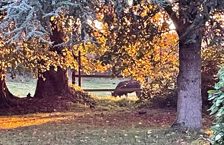 Natuurhuisje in Varennes en croix