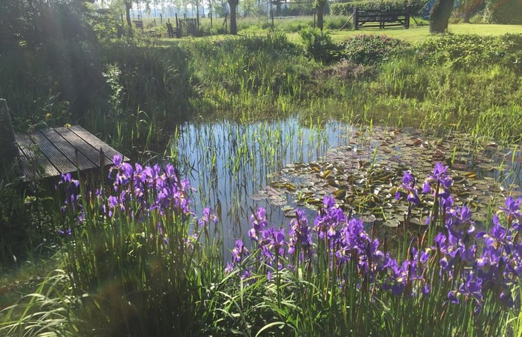 Natuurhuisje in Eede