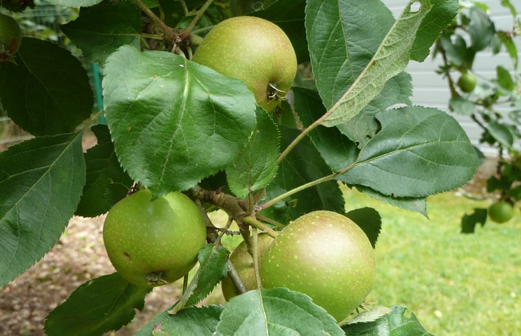 Natuurhuisje in Doische