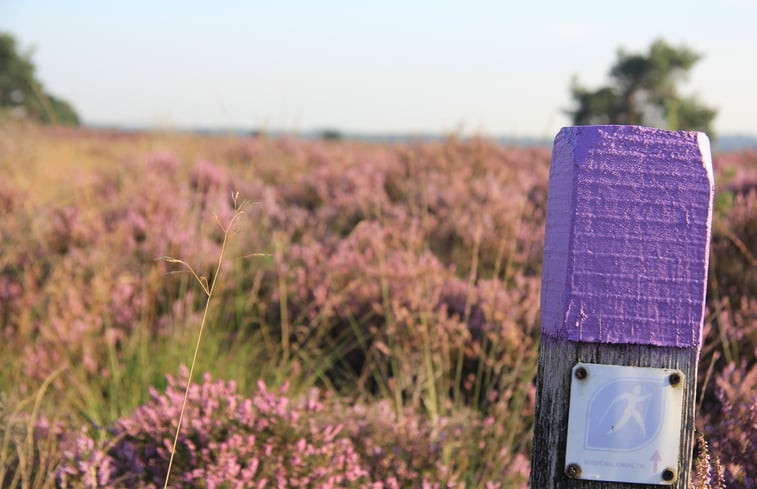 Natuurhuisje in Garderen