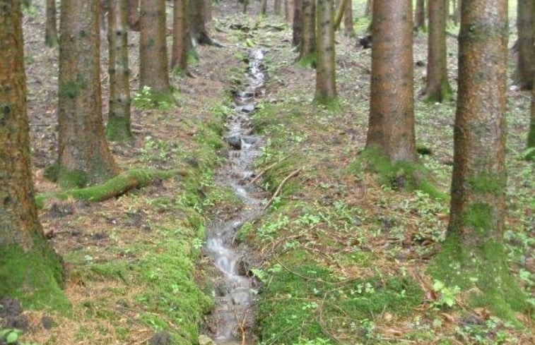 Natuurhuisje in Le Val d&apos;Ajol