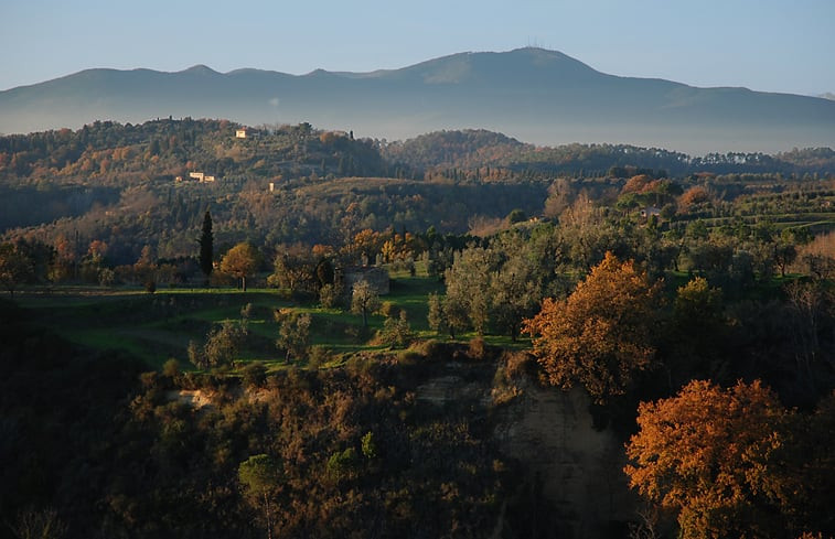 Natuurhuisje in Palaia