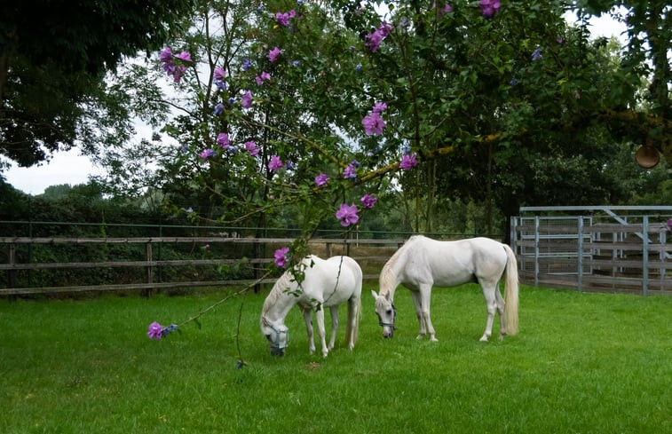 Natuurhuisje in Nuth