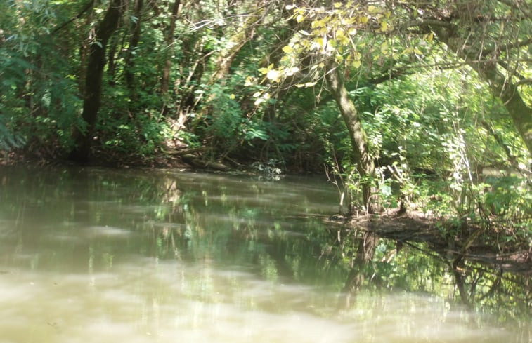 Natuurhuisje in Tiszagyenda