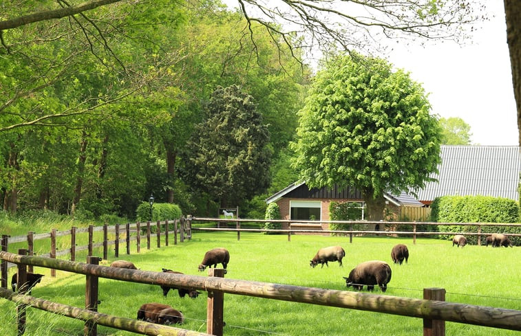 Natuurhuisje in Lemelerveld