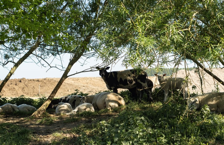 Natuurhuisje in Deest