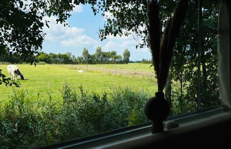 Natuurhuisje in Veere