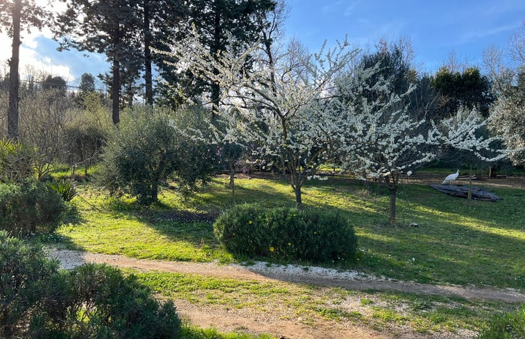 Natuurhuisje in Fabrica Di Roma