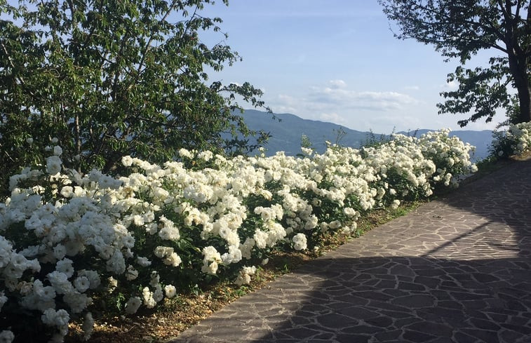 Natuurhuisje in VICCHIO