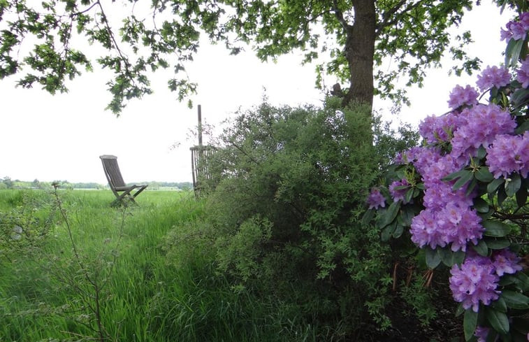 Natuurhuisje in Dalfsen