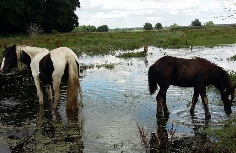 Natuurhuisje in Wittstock