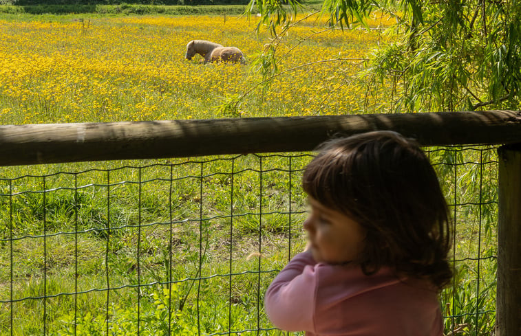 Natuurhuisje in Valadares, Vila Nova Gaia