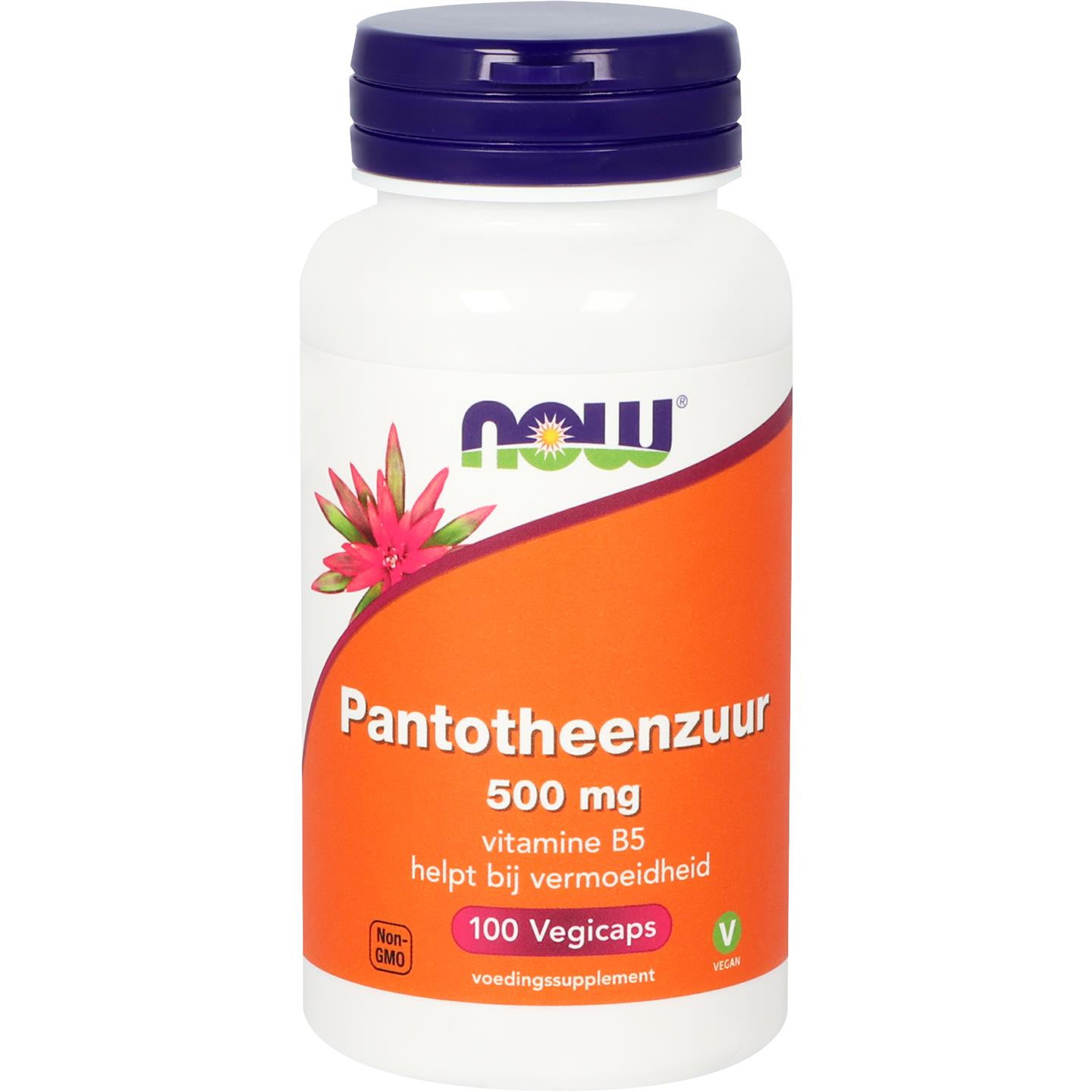 Pantotheenzuur 500 mg