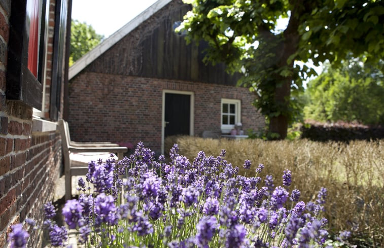 Natuurhuisje in Buurse