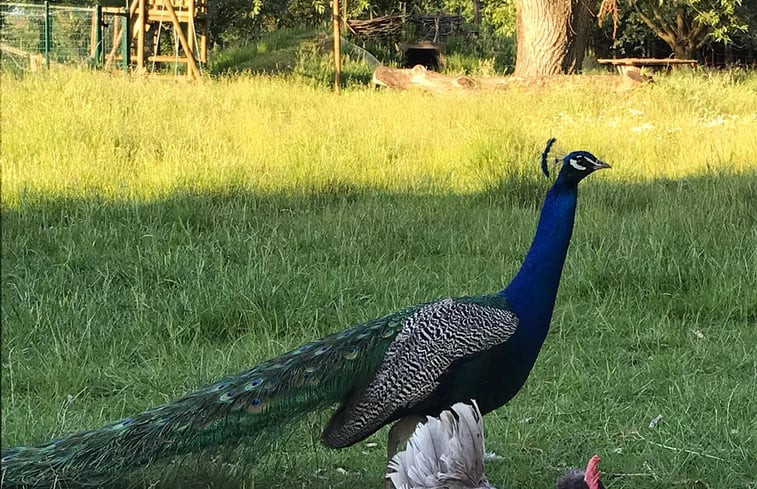 Natuurhuisje in Meerdonk