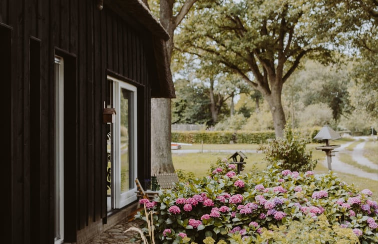 Natuurhuisje in Uffelte