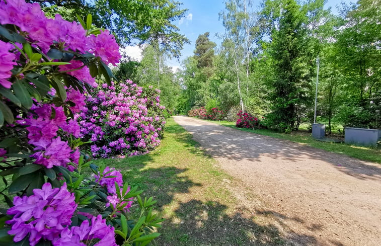 Natuurhuisje in Holten