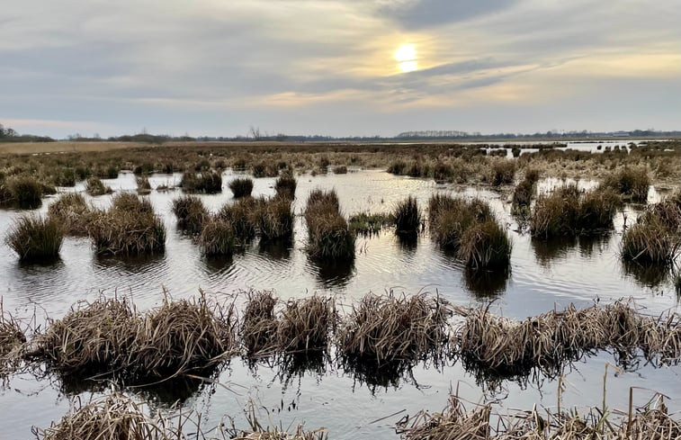 Natuurhuisje in De Tike