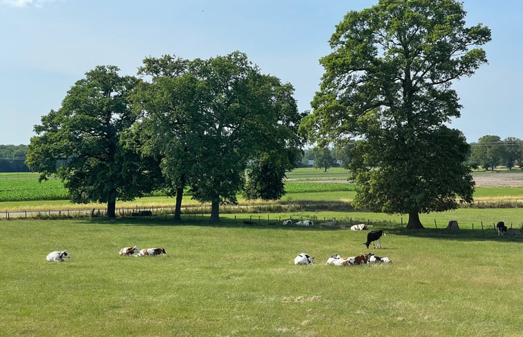 Natuurhuisje in Markelo