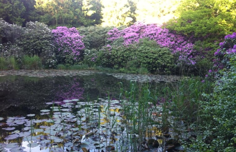 Natuurhuisje in Eext