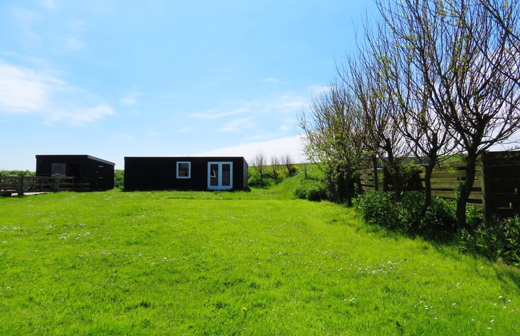 Natuurhuisje in Petten