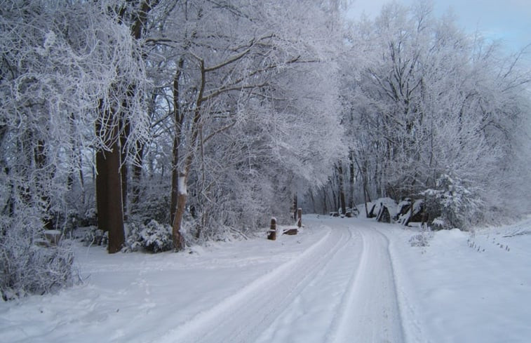 Natuurhuisje in Borculo