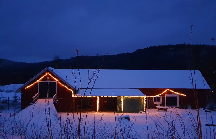 Natuurhuisje in Höljes