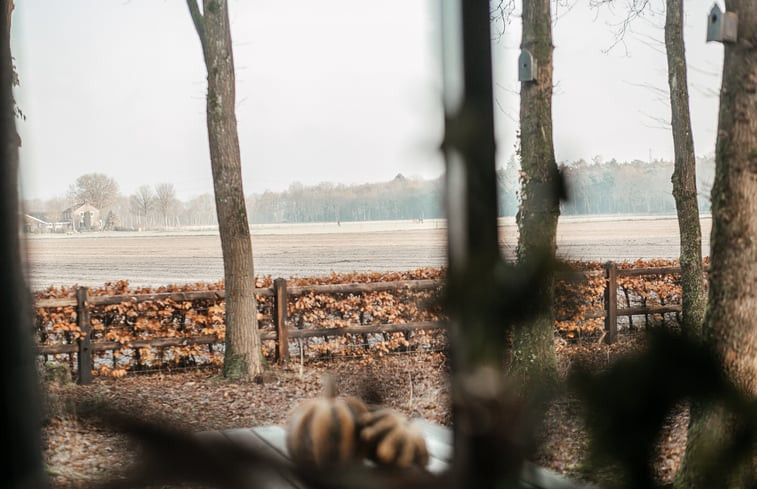 Natuurhuisje in Norg