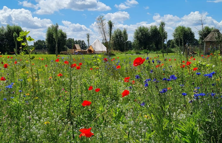 Natuurhuisje in Erp