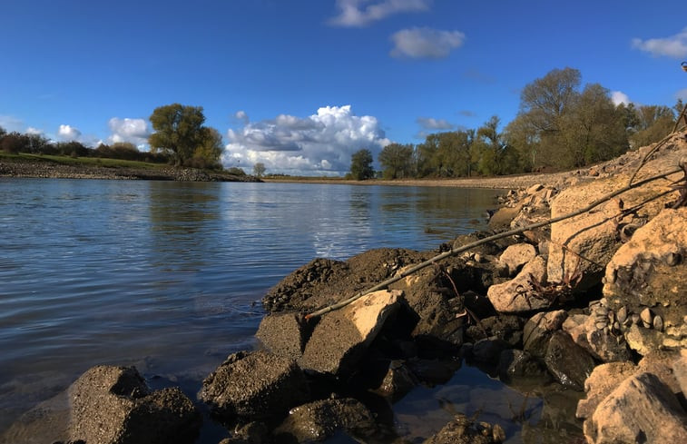 Natuurhuisje in Brummen