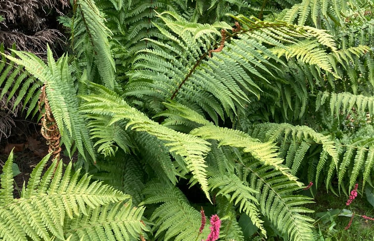 Natuurhuisje in Wachtebeke