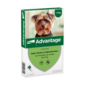 Advantage Nr. 40 vlooienmiddel (tot 4kg) hond 5 verpakkingen