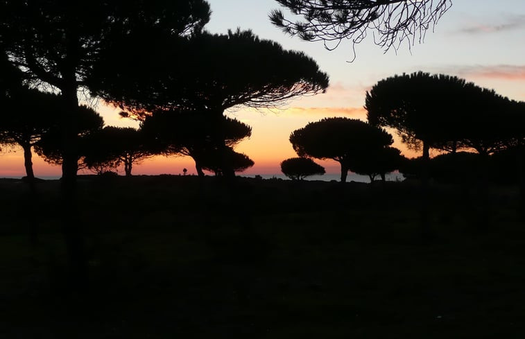 Natuurhuisje in Casais da Azoia (Cabo Espichel)