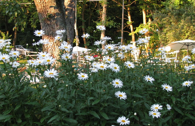 Natuurhuisje in Caldasio