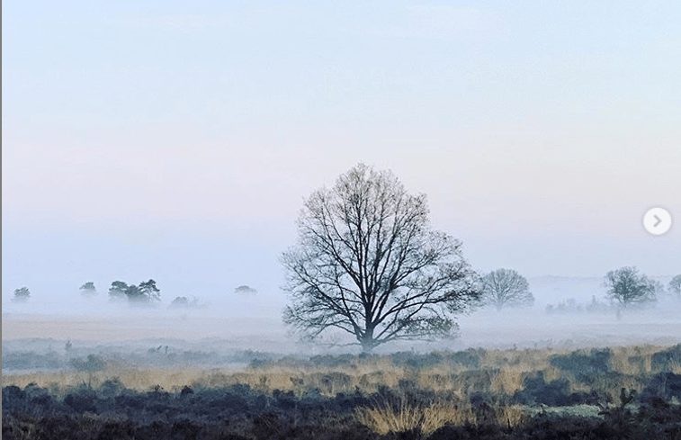 Natuurhuisje in Dwingeloo