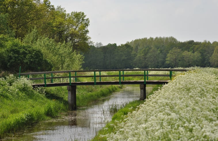 Natuurhuisje in Ruinen