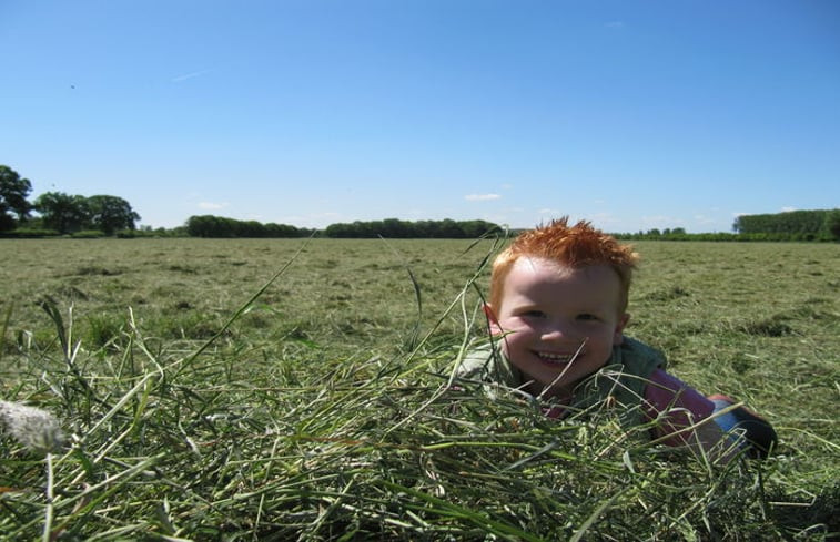 Natuurhuisje in Didam