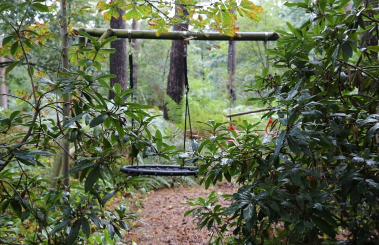 Natuurhuisje in Stegeren