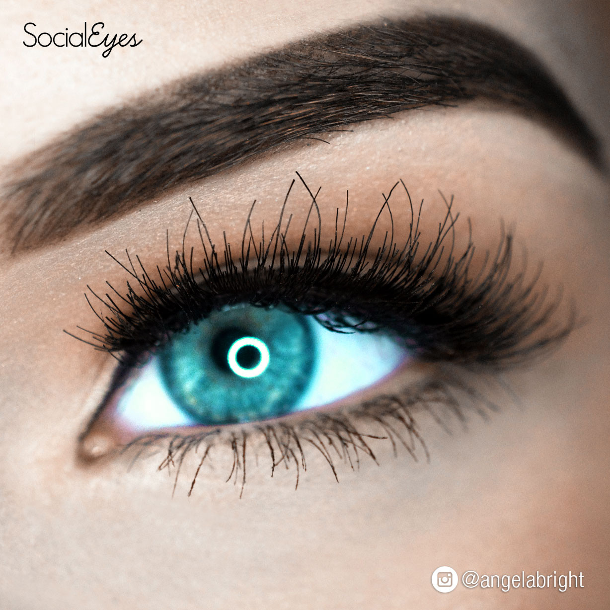 SocialEyes False Lashes Desire