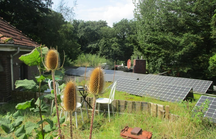 Natuurhuisje in Schortens