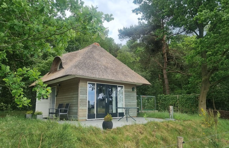 Natuurhuisje in Diffelen (Hardenberg)