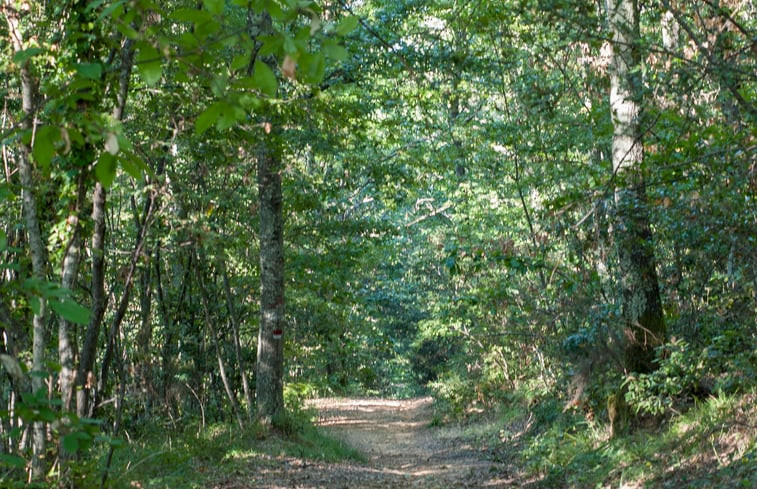 Natuurhuisje in San Vivaldo