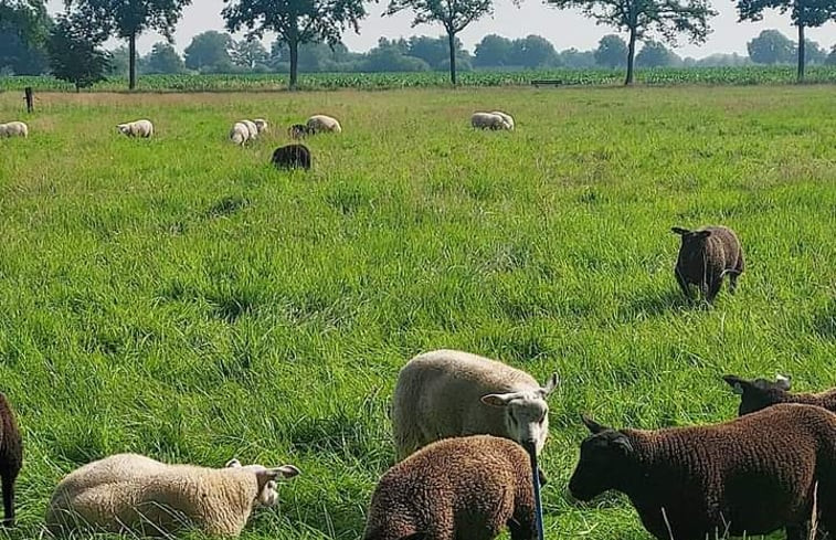 Natuurhuisje in Emst